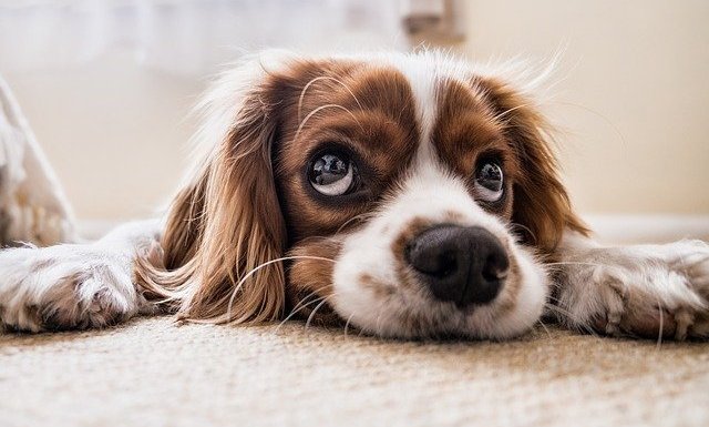 Envidia financiera, ¿es mejor despertarla que sentirla?